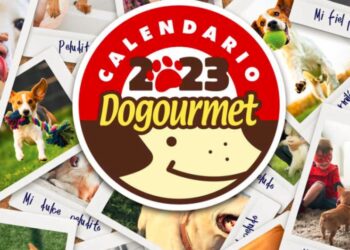 El calendario Dogourmet 2023 ya está disponible en versión digital