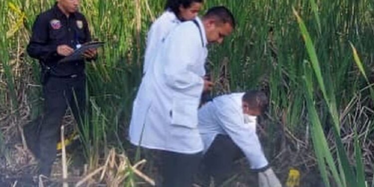 Encuentran cuerpo de sexagenario enterrado en Central Tacarigua: estaba desaparecido desde noviembre 2022