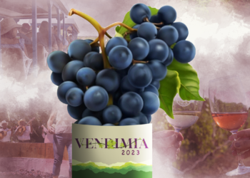 Bodegas Pomar anuncia el inicio de su primera vendimia de 2023