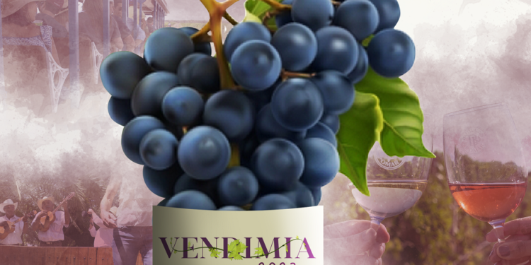 Bodegas Pomar anuncia el inicio de su primera vendimia de 2023