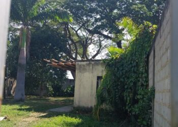 Encuentran enterrado el cuerpo de una maestra en Vigirima; tenía casi un año desaparecida