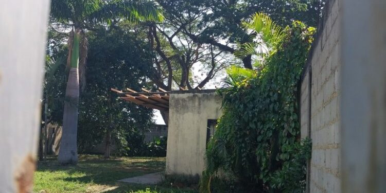 Encuentran enterrado el cuerpo de una maestra en Vigirima; tenía casi un año desaparecida