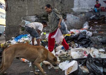 Opinión Saúl Jiménez: «Más riqueza, más pobreza»