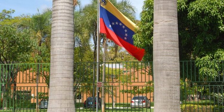 Venezuela y Brasil revisaron plan de trabajo para retomar cooperación bilateral