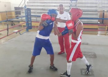 11 atletas carabobeños clasificaron al Campeonato Nacional Cadete de Boxeo