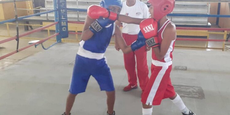 11 atletas carabobeños clasificaron al Campeonato Nacional Cadete de Boxeo