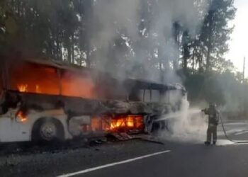 Panamá suspende temporalmente traslado de migrantes por accidentes de buses