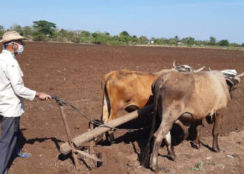 Foro Rural Venezolano: La delincuencia en la ruralidad va por el ascensor, mientras las autoridades van por la escalera