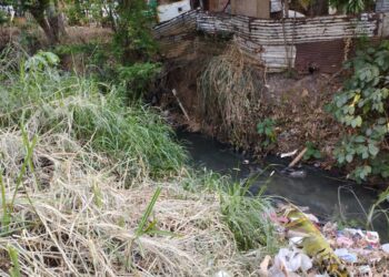 Canal de Bella Florida inundado de basura por falta de conciencia ciudadana