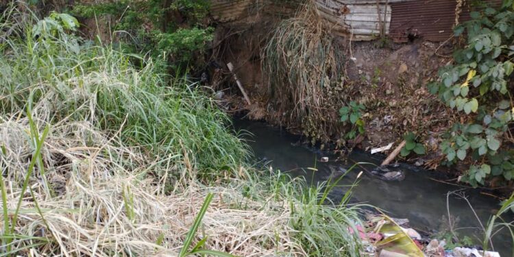 Canal de Bella Florida inundado de basura por falta de conciencia ciudadana