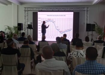 Productores avícolas nacionales piden la reducción de aranceles para poder competir con otros países