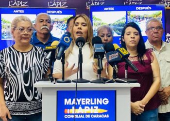 Concejal del Lápiz en Caracas denunció excesos en Los Próceres durante carnaval