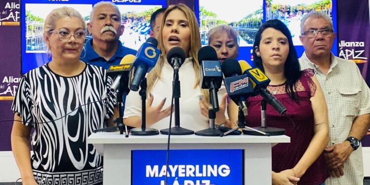Concejal del Lápiz en Caracas denunció excesos en Los Próceres durante carnaval