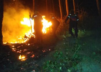 Reportan incendio forestal en Cerro El Café