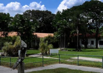 Año Jubilar por el 50° aniversario de los Estudios Odontológicos: Facultad de Odontología trasciende en la formación de talentos al servicio del país