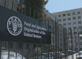 Alimentación Escolar FAO