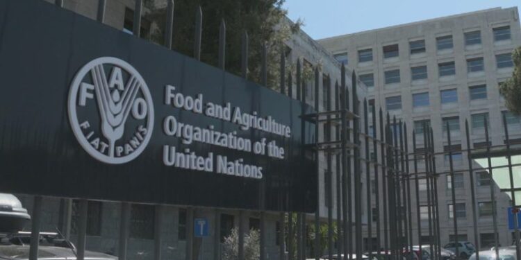 Alimentación Escolar FAO