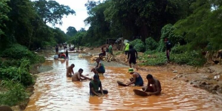 Más de 19 mil mineros ilegales dejaron reserva Yanomami en Brasil