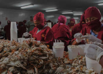 Venezuela aumentó un 13 % las exportaciones de crustáceos y pescados en 2022