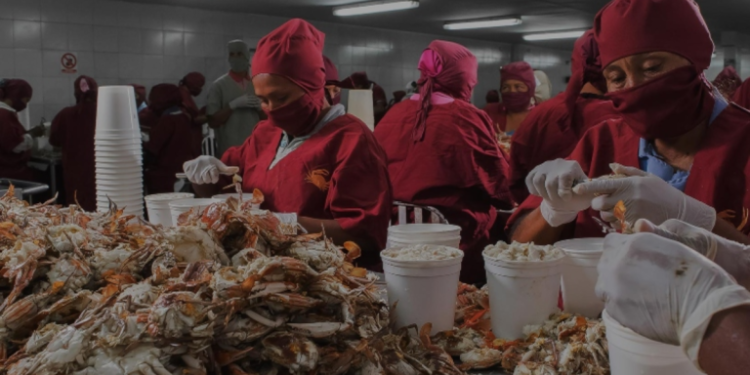 Venezuela aumentó un 13 % las exportaciones de crustáceos y pescados en 2022