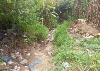 Concejal Joel Castillo pidió al alcalde de Carlos Arvelo que ejecute el mantenimiento preventivo en canales y quebradas del municipio