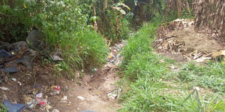 Concejal Joel Castillo pidió al alcalde de Carlos Arvelo que ejecute el mantenimiento preventivo en canales y quebradas del municipio