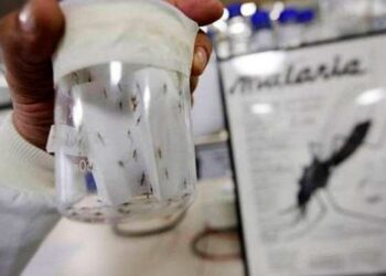 Ministerio de Salud anuncia refuerzo en cerco epidemiológico contra la malaria