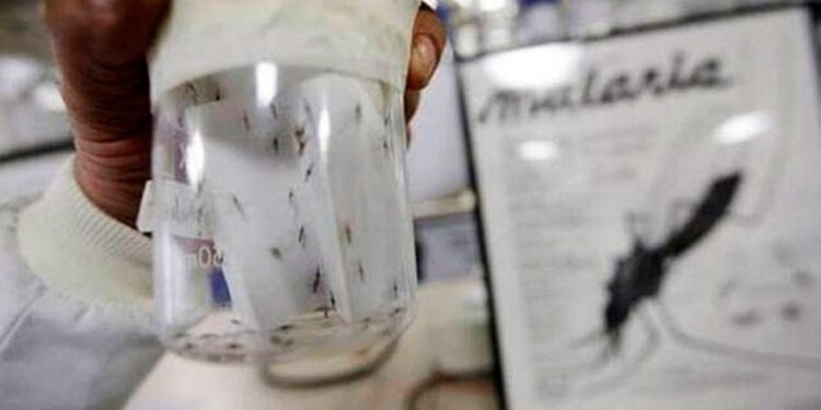 Ministerio de Salud anuncia refuerzo en cerco epidemiológico contra la malaria