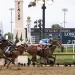 Derby de Kentucky histórico para Venezuela: El jinete Javier Castellano y el entrenador Gustavo Delgado ganaron