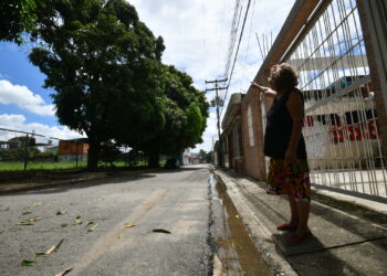Vecinos de Parque Florida piden poda de árboles que ponen en riesgo el sistema eléctrico