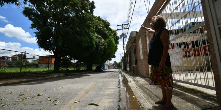 Vecinos de Parque Florida piden poda de árboles que ponen en riesgo el sistema eléctrico