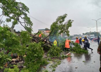 Invialca: Vialidad en Carabobo se mantiene operativa y despejada al 100 %