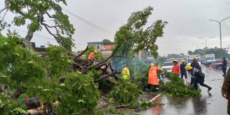 Invialca: Vialidad en Carabobo se mantiene operativa y despejada al 100 %
