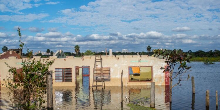 Hay un 80 % de que el fenómeno El Niño comience entre julio y septiembre