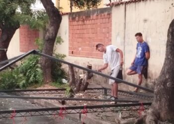 Denuncian delito ambiental en Bella Florida por parte de buhoneros