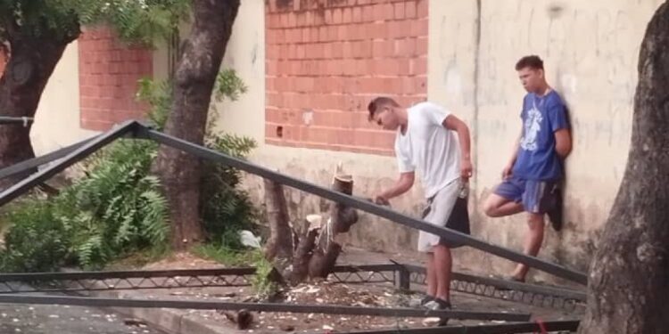 Denuncian delito ambiental en Bella Florida por parte de buhoneros