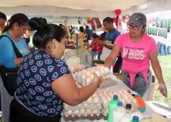 Ministro de Alimentación: «las sanciones impiden distribuir correctamente los productos a la población»