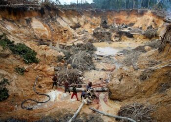 Oenegés piden una investigación sobre los delitos ambientales en el Amazonas venezolano