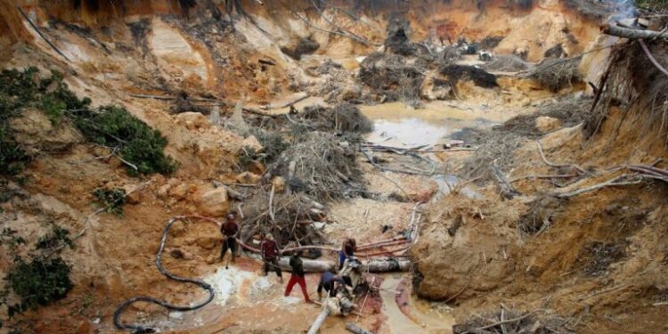 Oenegés piden una investigación sobre los delitos ambientales en el Amazonas venezolano