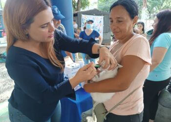 UNT Carabobo realizó jornada especial de atención veterinaria y desparasitación gratuita para mascotas
