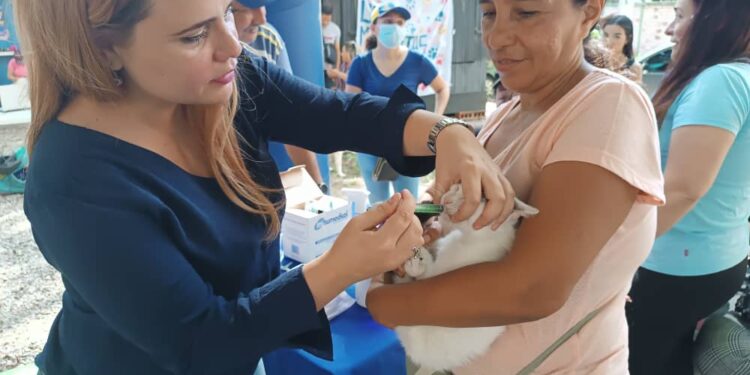 UNT Carabobo realizó jornada especial de atención veterinaria y desparasitación gratuita para mascotas