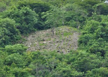 Denuncian deforestación en área protegida de cerros de Lomas del Este