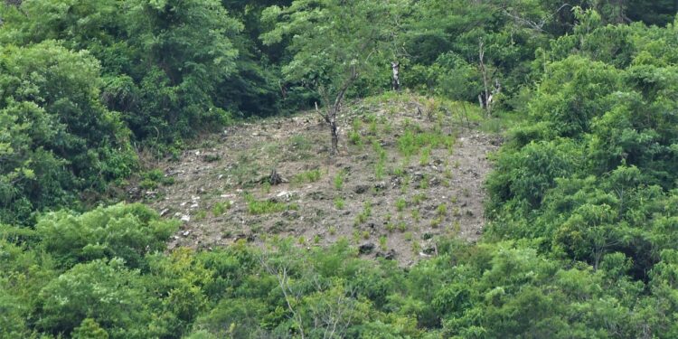 Denuncian deforestación en área protegida de cerros de Lomas del Este