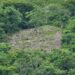 Denuncian deforestación en área protegida de cerros de Lomas del Este