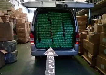 Incautados más de 4 mil bultos de pañales para bebé vencidos que eran distribuidos en Carabobo