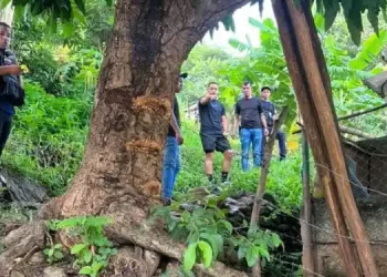 Funcionarios de la PNB abatieron a dos delincuentes en Naguanagua