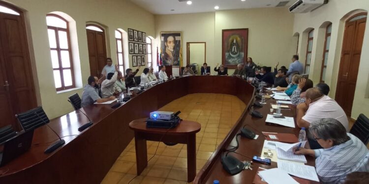 Consejo Universitario de la UC aprobó Estatuto Transitorio Electoral de la casa de estudios