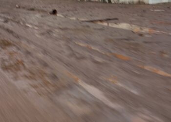 Así amanece la avenida Bolívar Norte de Valencia después del fuerte aguacero (en fotos)