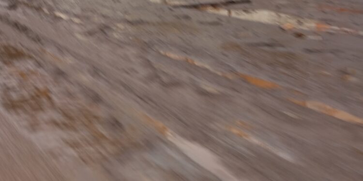 Así amanece la avenida Bolívar Norte de Valencia después del fuerte aguacero (en fotos)