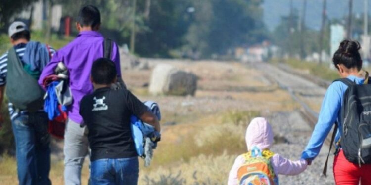 40.458 niños cruzaron este año el Darién: algunos abandonados y otros hallados junto al cadáver de su madre